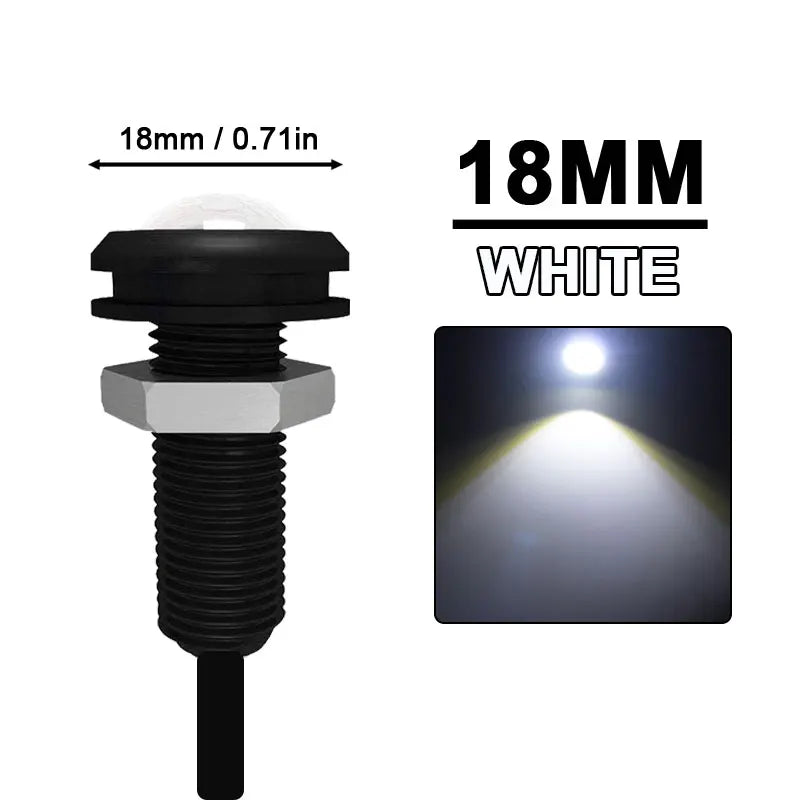 Luces LED Eagle Eye Universales 12V